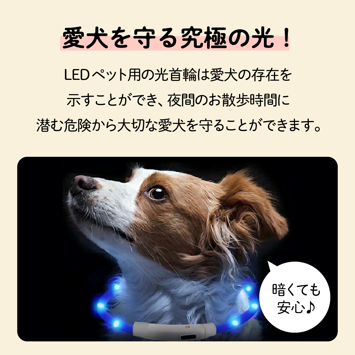 犬 光る首輪 首輪 光る 散歩 ライト 犬用 レインボー USB 充電式 防水