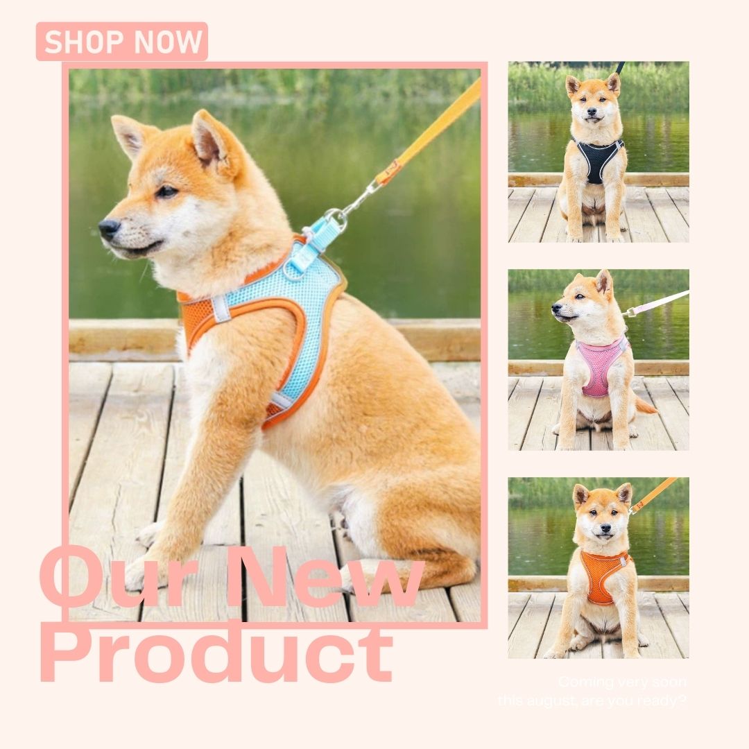 猫 ハーネス 抜けない ダブルロック マジックテープ 犬 ハーネスリード