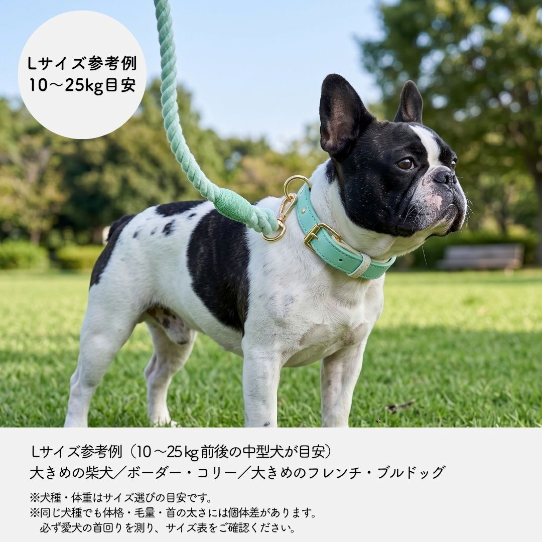 犬 首輪 革 レザー 丈夫 柔らかい シンプル 小型犬 中型犬 本革 可愛い