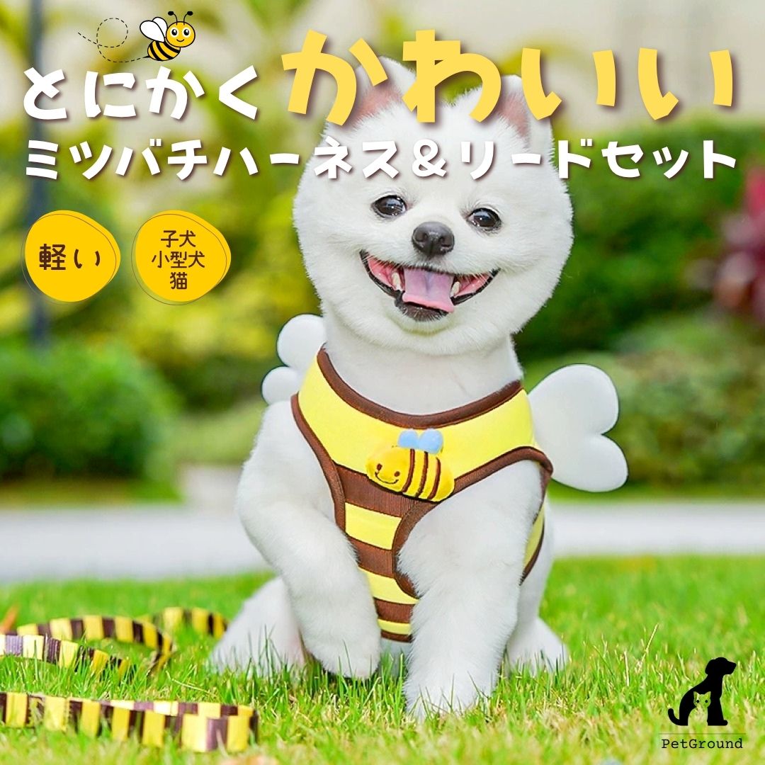 犬 猫 兼用 ミツバチ ハーネス リード セット 小型犬 軽量 メッシュ