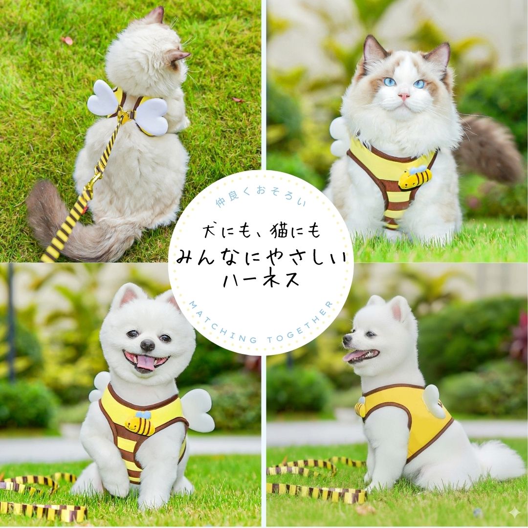 犬 猫 兼用 ミツバチ ハーネス リード セット 小型犬 軽量 メッシュ