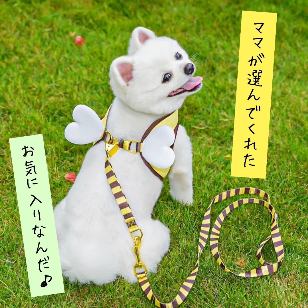 犬 猫 兼用 ミツバチ ハーネス リード セット 小型犬 軽量 メッシュ