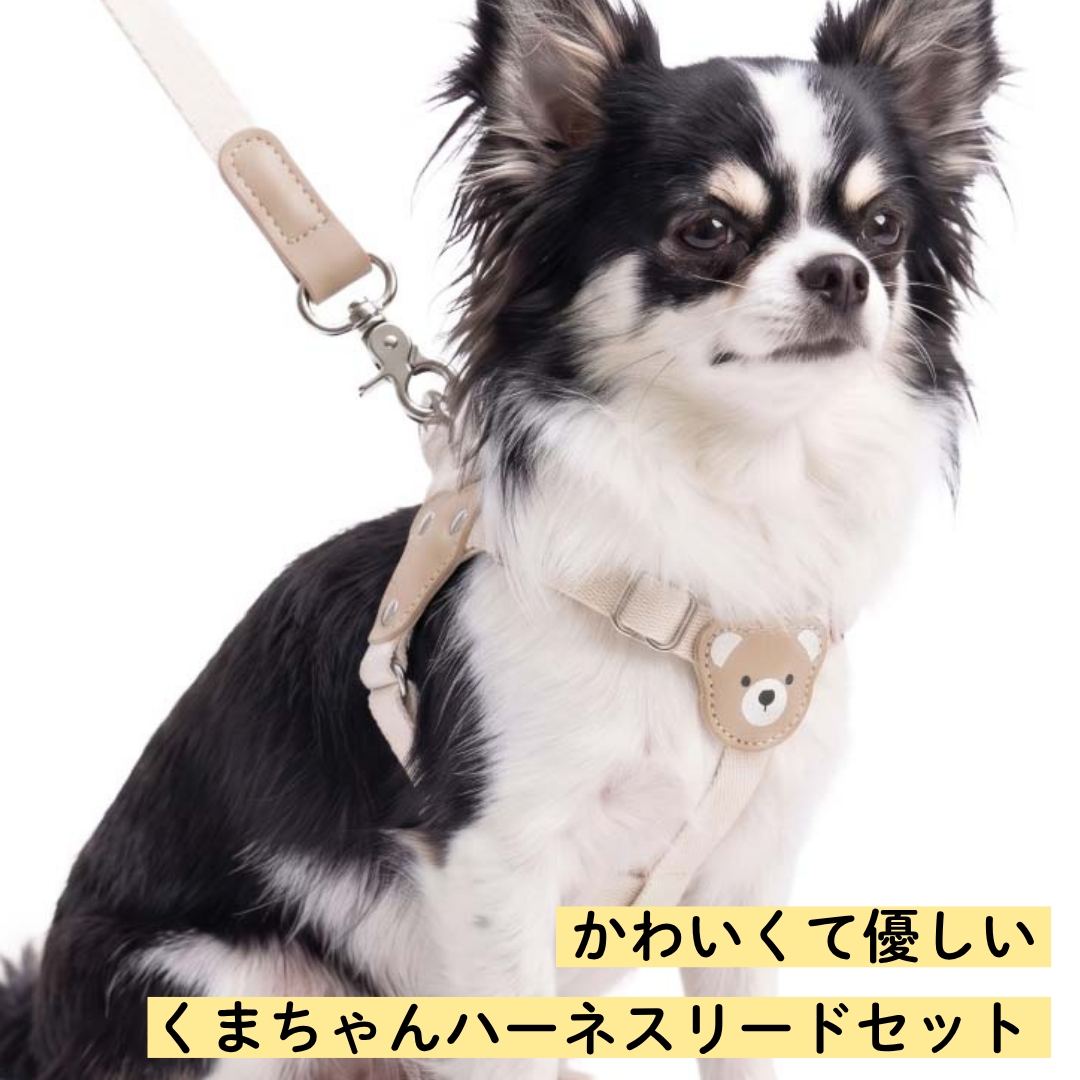 くま柄ペットハーネスリードセット 犬 ハーネス リード付き かわいい くまちゃんハーネス 簡単装着