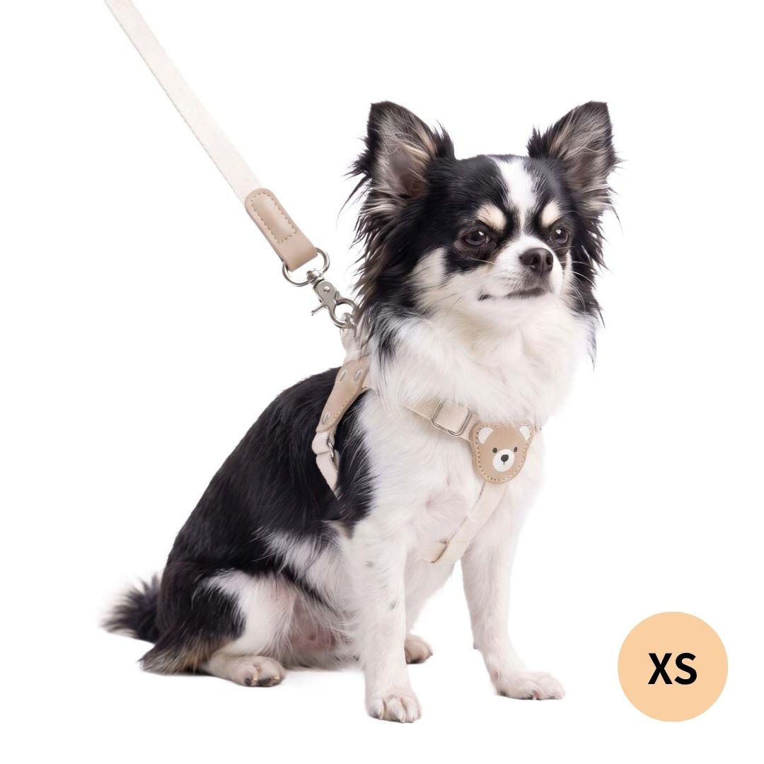 犬 ハーネス リード付き かわいい くまちゃんハーネス 簡単装着