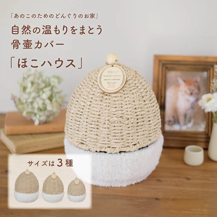 本日発送  【MN3IGJSII5H】 限定デザイン