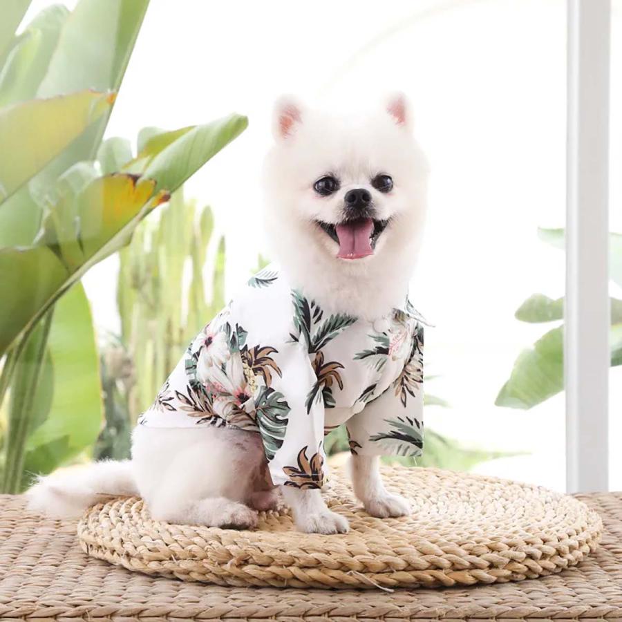 犬 服 アロハシャツ 春夏 秋冬 ボタン 半袖 かわいい 犬の服 ドッグ