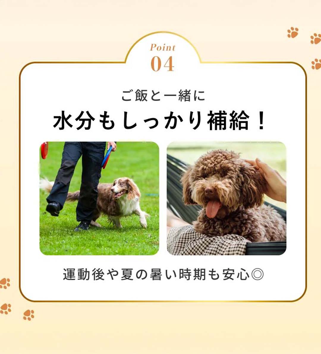 SILKFULL 犬用ウェットフード シルクフル タラ味 4個セット 腎臓