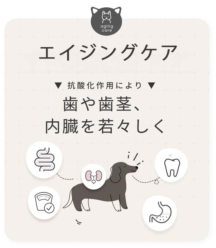 SILKFULL シルクフル 犬 サプリメント 30包入り 腎臓 無味無臭 水溶液