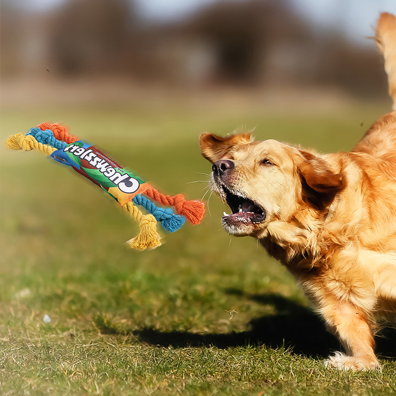 犬 おもちゃ ロープ 頑丈 丈夫 安全 壊れない 音が鳴る 引っ張りっこ 噛むおもちゃ 歯磨き ストレス解消 犬用おもちゃ 小型犬 中型犬 大型犬 送料無料
