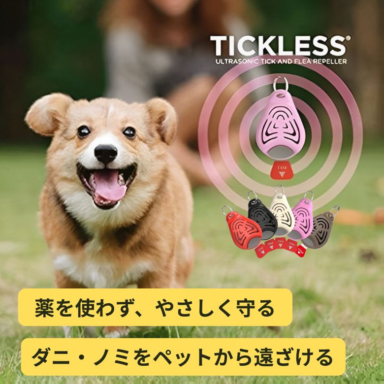 yKizTICKLESS `bNX  m~_j t邾 gŃm~_j΍ L ybg g킸S U o