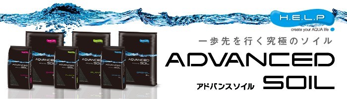 デナリ DENNERLE クリスタルクオーツグラベル ダイヤモンドブラック