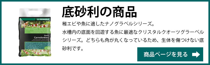 未来アクアリウムヤフー店 - DENNERLE（オリジナル商品・その他観賞魚用品）｜Yahoo!ショッピング