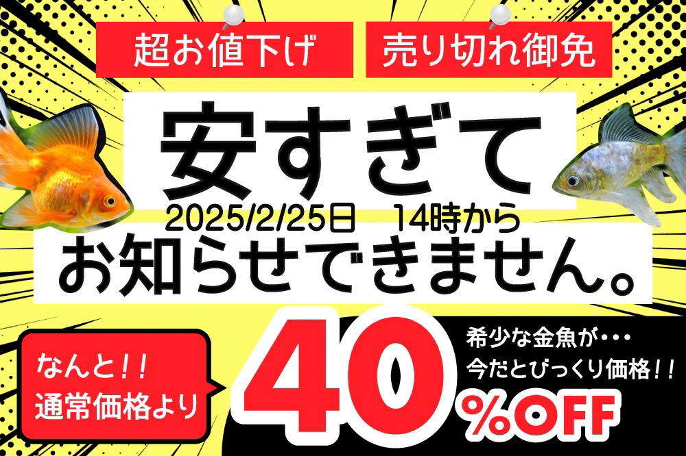 ゲリラセール40・202505