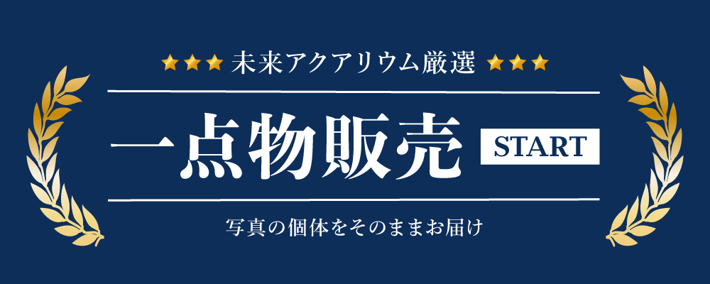 一点物販売