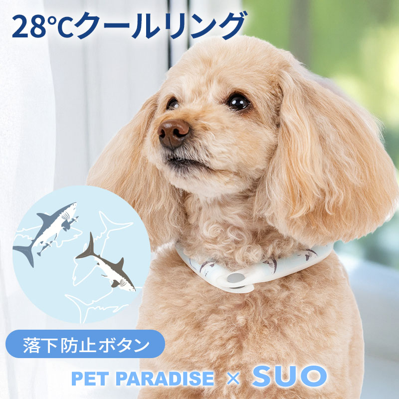 PET PARADISE（ペットパラダイス） 犬 夏 28℃ クールリング サメ柄