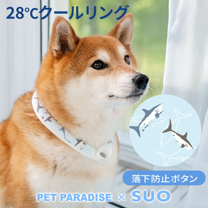 PET PARADISE（ペットパラダイス） 犬 夏 28℃ クールリング サメ柄