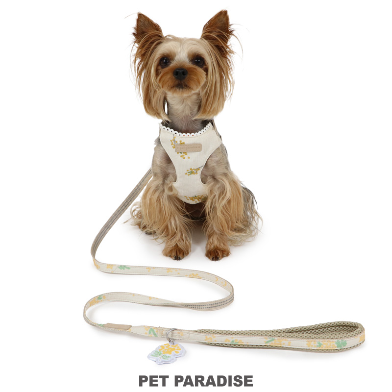 PET PARADISE（ペットパラダイス） 犬 ハーネス リード ミモザ スリム