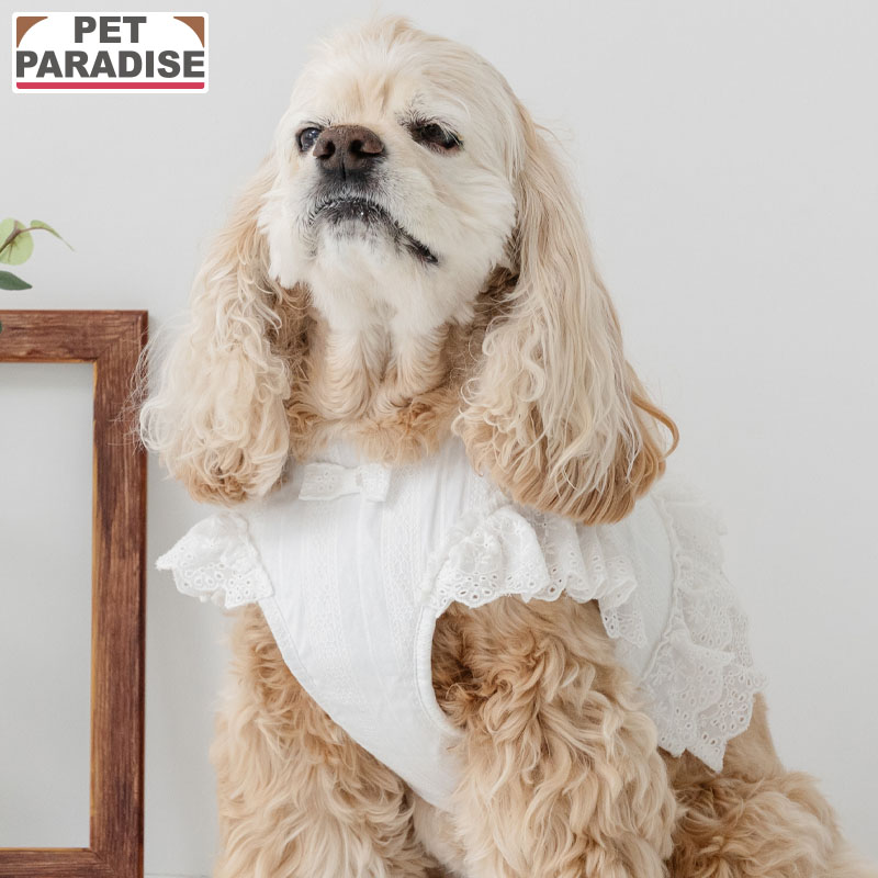 PET PARADISE（ペットパラダイス） 犬 ハーネス フリル ベストハーネス