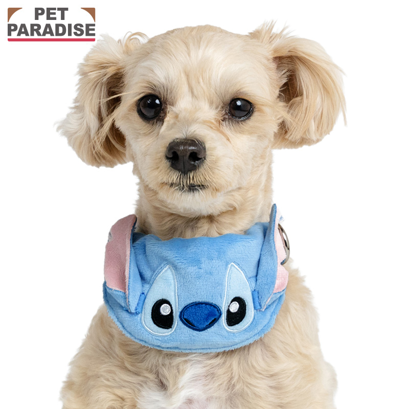 Disney Store Dog Collar 2点セット 小型犬用 Disney（ディズニー） P5倍 スティッチ 犬 首輪 スタイ首輪 小型犬 S