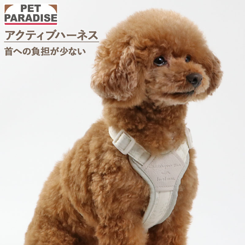 PET PARADISE（ペットパラダイス） P10倍 犬 首輪 花 りぼん 首輪 中型