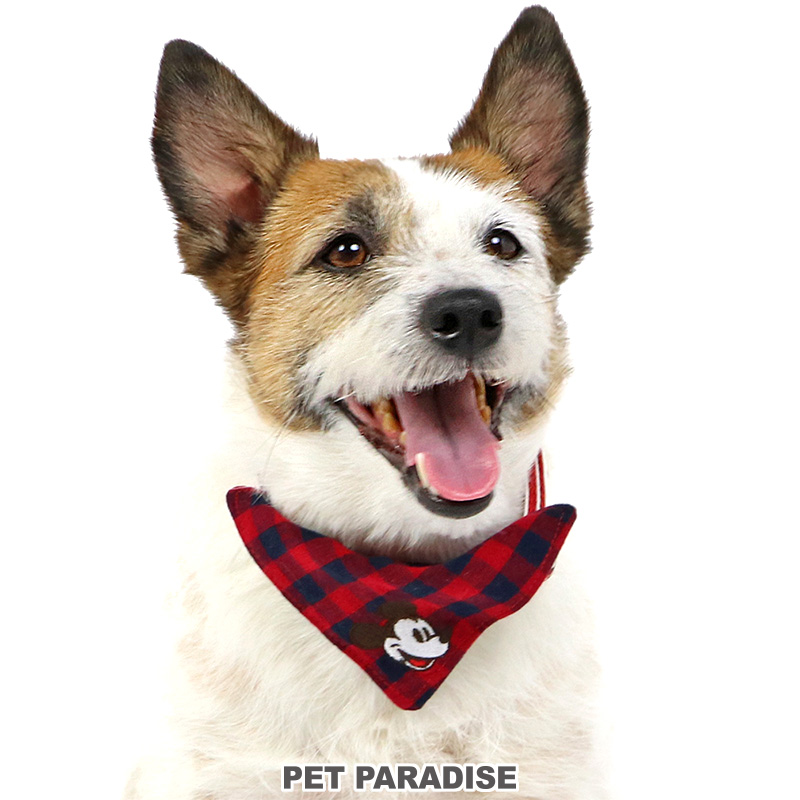 新品☆Disney ディズニー チップとデール 犬用首輪 楽天市場】ディズニー チップ&デール（ペット・ペットグッズ）の通販