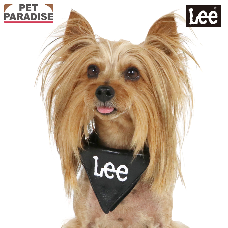 Lee（リー） P5倍 犬 首輪 小型犬 3S ブラック | おでかけ お出かけ