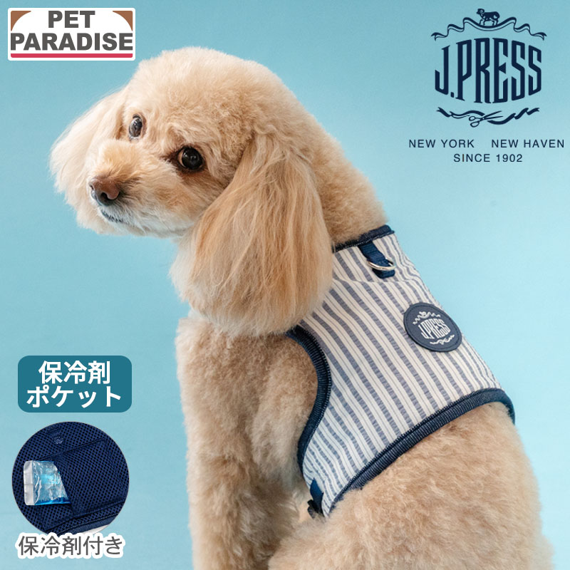 J.PRESS（J.プレス） 犬 ハーネス リード クール ストライプ 小型犬 S