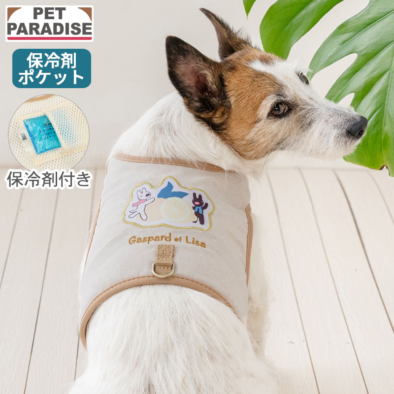 PET PARADISE（ペットパラダイス） リサとガスパール 犬 クール