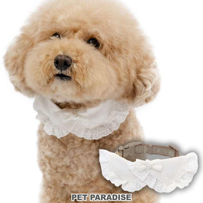 PET PARADISE（ペットパラダイス） 犬 首輪 秋 コットンレース 襟
