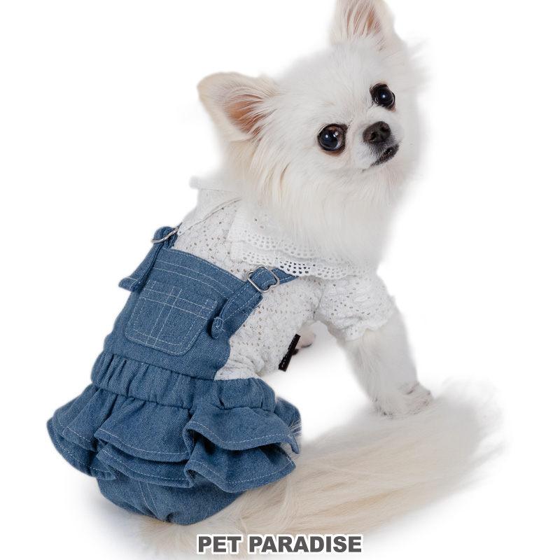 PET PARADISE（ペットパラダイス） サマーセール 犬 服 春 レース 襟