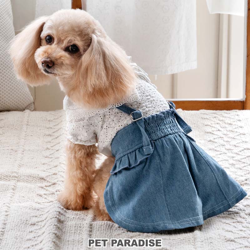 PET PARADISE（ペットパラダイス） 犬 服 春 レース 襟 スカート