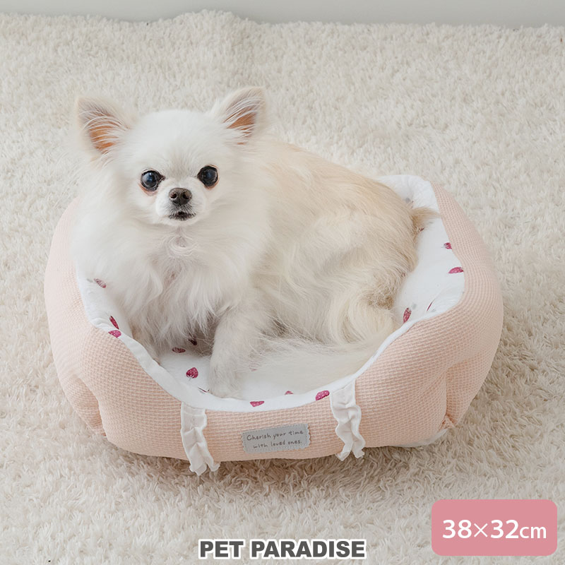 PET PARADISE（ペットパラダイス） 犬 ベッド 苺 フリル カドラー