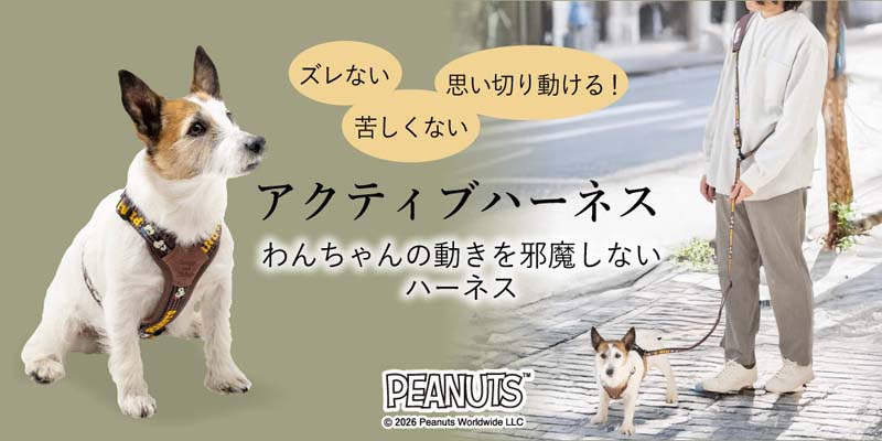 ペットパラダイス - Yahoo!ショッピング