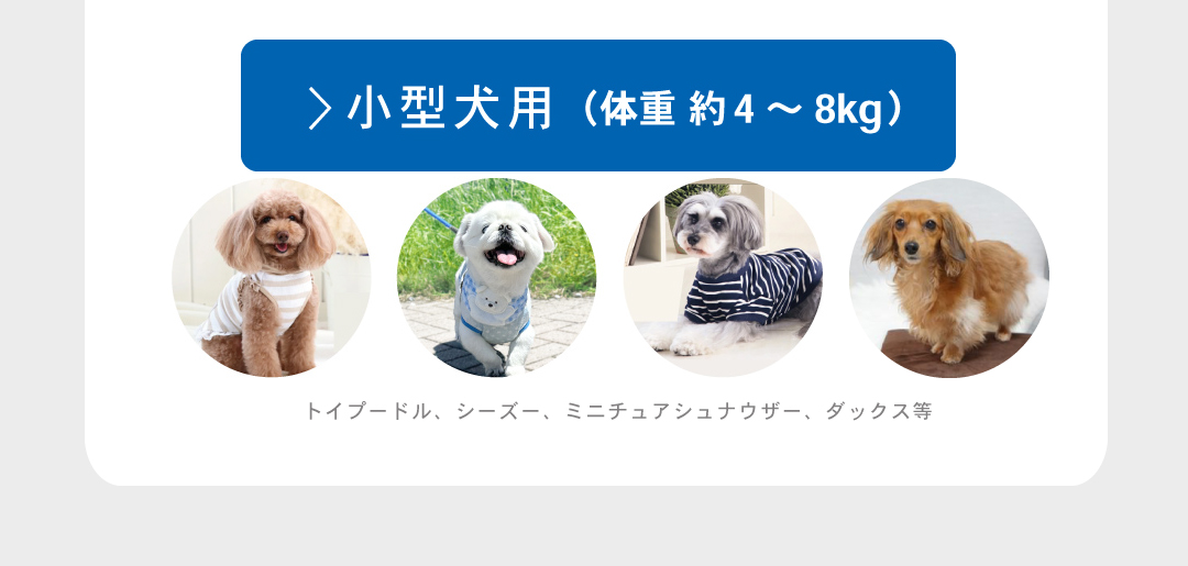 ペットパラダイス - キャリーバッグ|Yahoo!ショッピング ペットパラダイス - キャリーバッグ|Yahoo!ショッピング