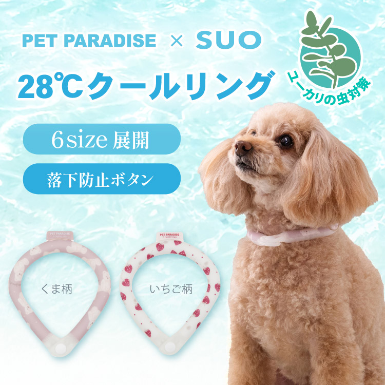 PET PARADISE（ペットパラダイス） ポイント5倍 犬 ペット クール