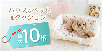 ペットパラダイス - Yahoo!ショッピング