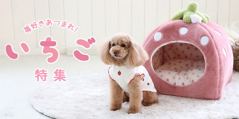 ペットパラダイス　いちご　サイズDSS（2枚） くすみ苺 ハウス M (38×38×40cm) / PET PARADISE | 【通販】雑貨