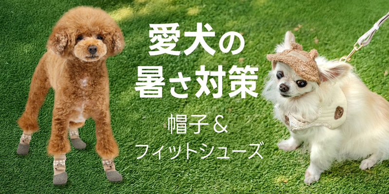 ペットパラダイス　クリエィティブヨーコ　犬服　　犬の服　SSサイズ 2枚組 ペットパラダイス』ブランドパートナー倉木麻衣さんとの初の
