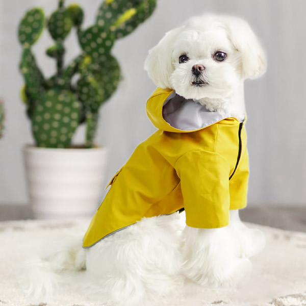 犬 レインコート レイングッズ 小型犬 カッパ フード付き ポンチョ 梅雨 雨具 :rain001:SHIZUKU*PET 通販  