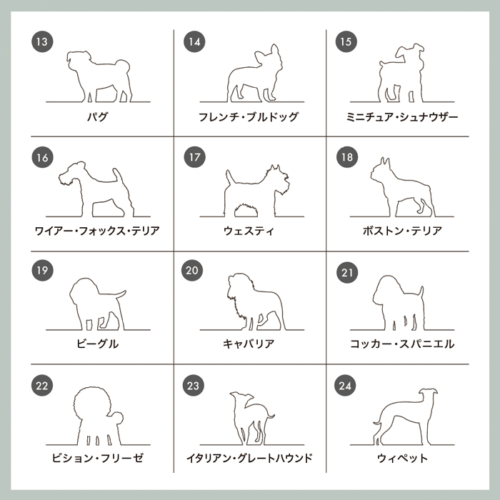 ペット用マルチケース・健康手帳ケース