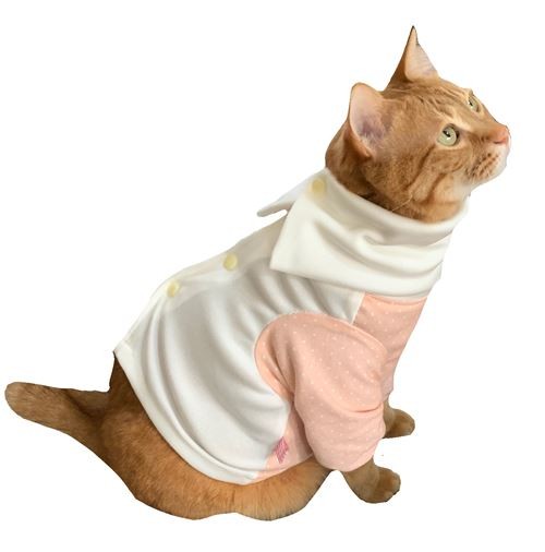 猫用術後服 脱毛保護 術後ウェア ネックガード L Pe E1 Petanimalsヤフー店 通販 Yahoo ショッピング