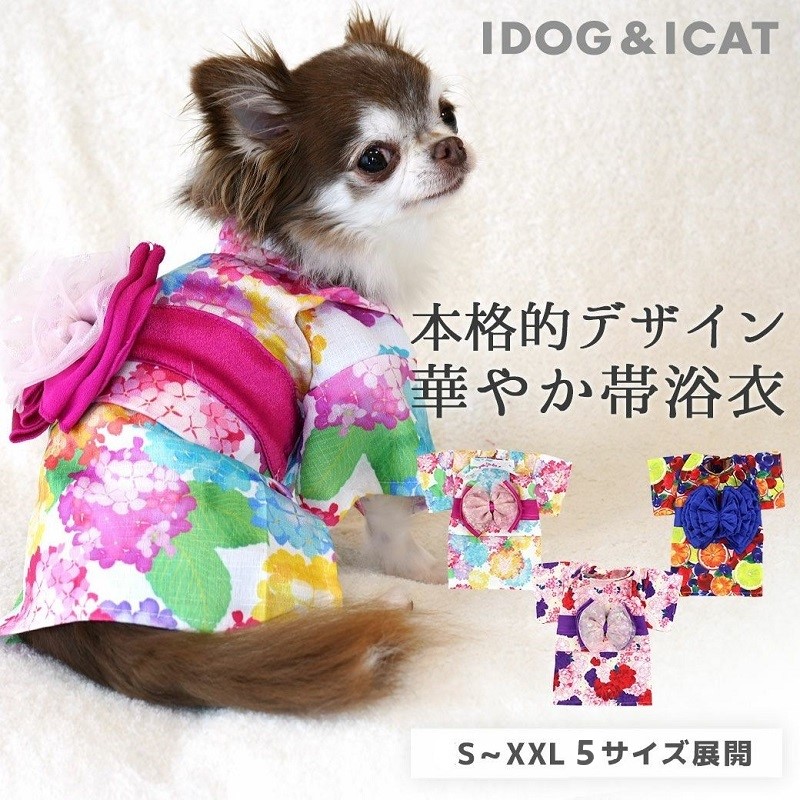 iDog 華やか大輪帯浴衣 メール便は、1点まで