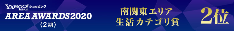 共立製薬 プロモーション700 2個セット（消費期限2024年4月）