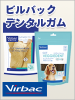 ビルバッグデンタルガム