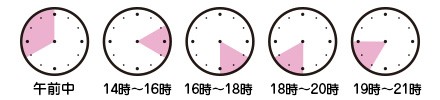 共立製薬 プロモーション700 2個セット（消費期限2024年4月）