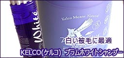 ＫＥＬＣＯ（ケルコ）　プラムホワイトシャンプー