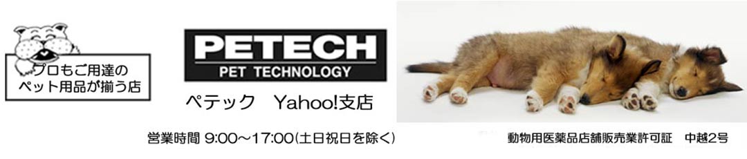 ペテック ヘッダー画像