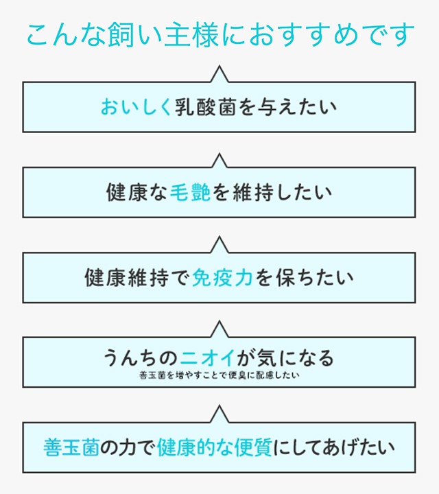 最大55%OFFクーポン ベッツワン マルチ乳酸菌 犬猫用 細粒 60g 2g×30包 2個セット discoversvg.com