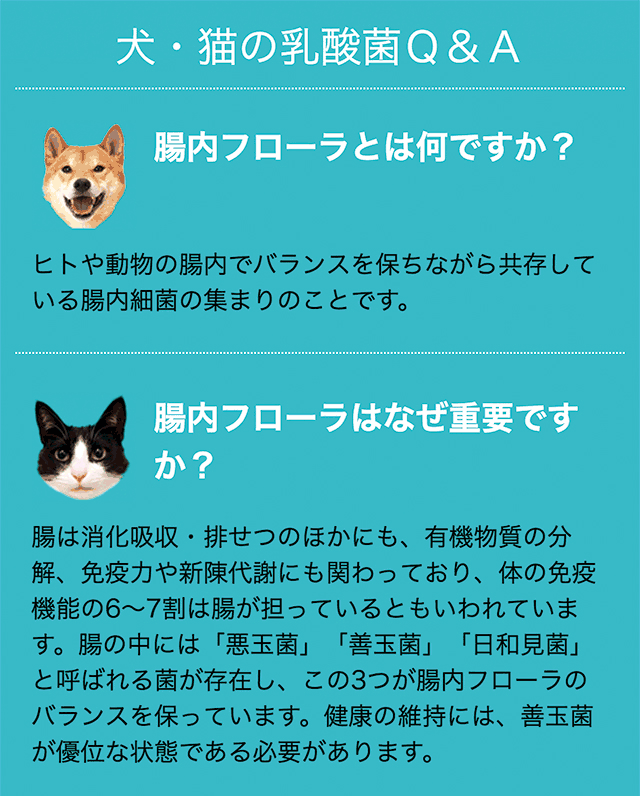 最大55%OFFクーポン ベッツワン マルチ乳酸菌 犬猫用 細粒 60g 2g×30包 2個セット discoversvg.com