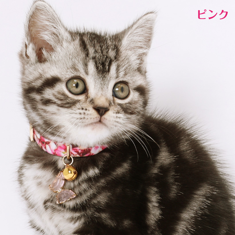 猫 首輪 「 バタフライ 」 (鈴チャーム付き 仕様 ) かわいい 蝶々